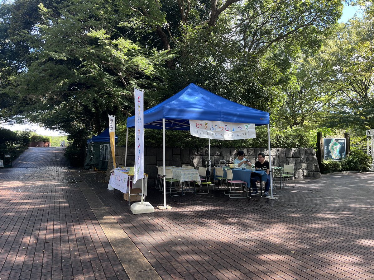 pie_co's tweet photo. 千葉市動物公園のBrew at the Zoo設営完了！
めちゃくちゃ晴れて暑いくらいです。
どうぶつしょうぎ&amp;にゃんこならべ体験ブースは森のレストラン前、中央広場のステージ横、パルシステムさんのお向かいです！ https://t.co/oTclYhYOuL
