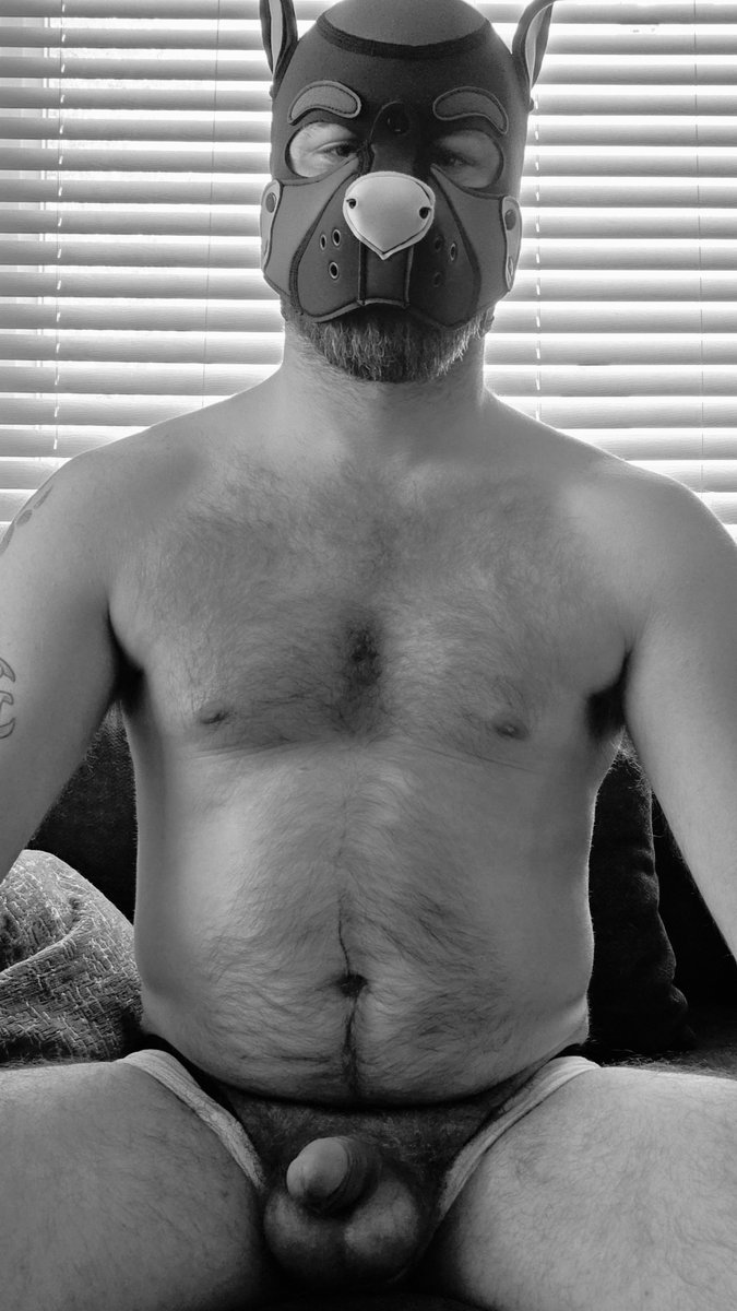 PupTimber23's tweet photo. Awruff! But make it #MCM https://t.co/ofSbDMB68u