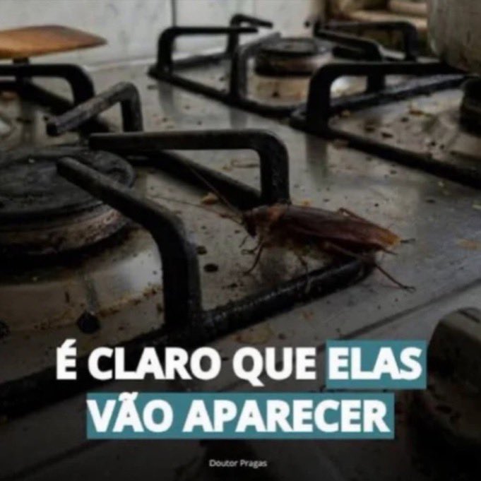 Freak_maary's tweet photo. Flavio bolsonaro ta vindo pra ca. https://t.co/44rPTaLivG