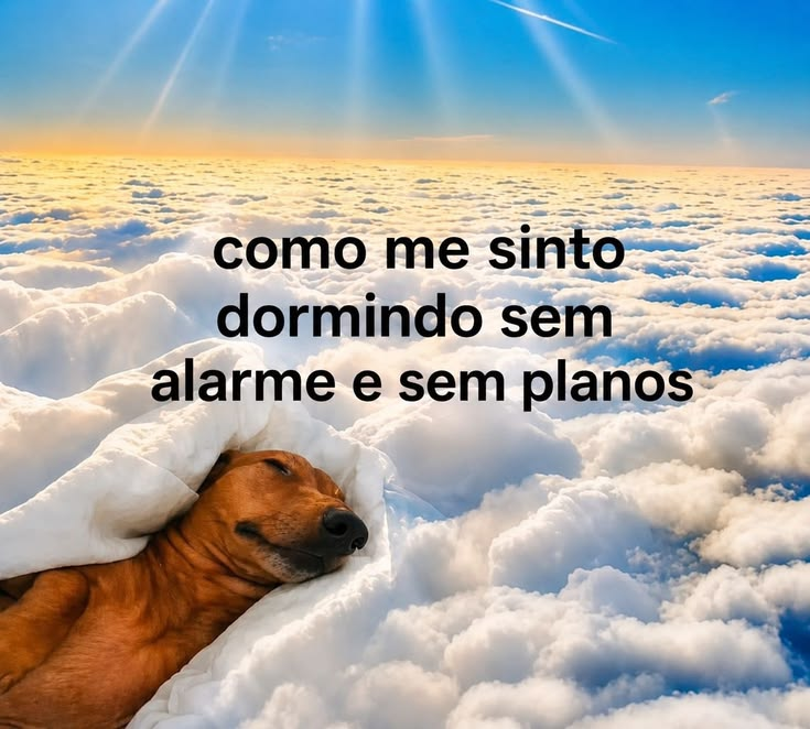 acervobichinho's tweet photo. https://t.co/5SPi784Aqz