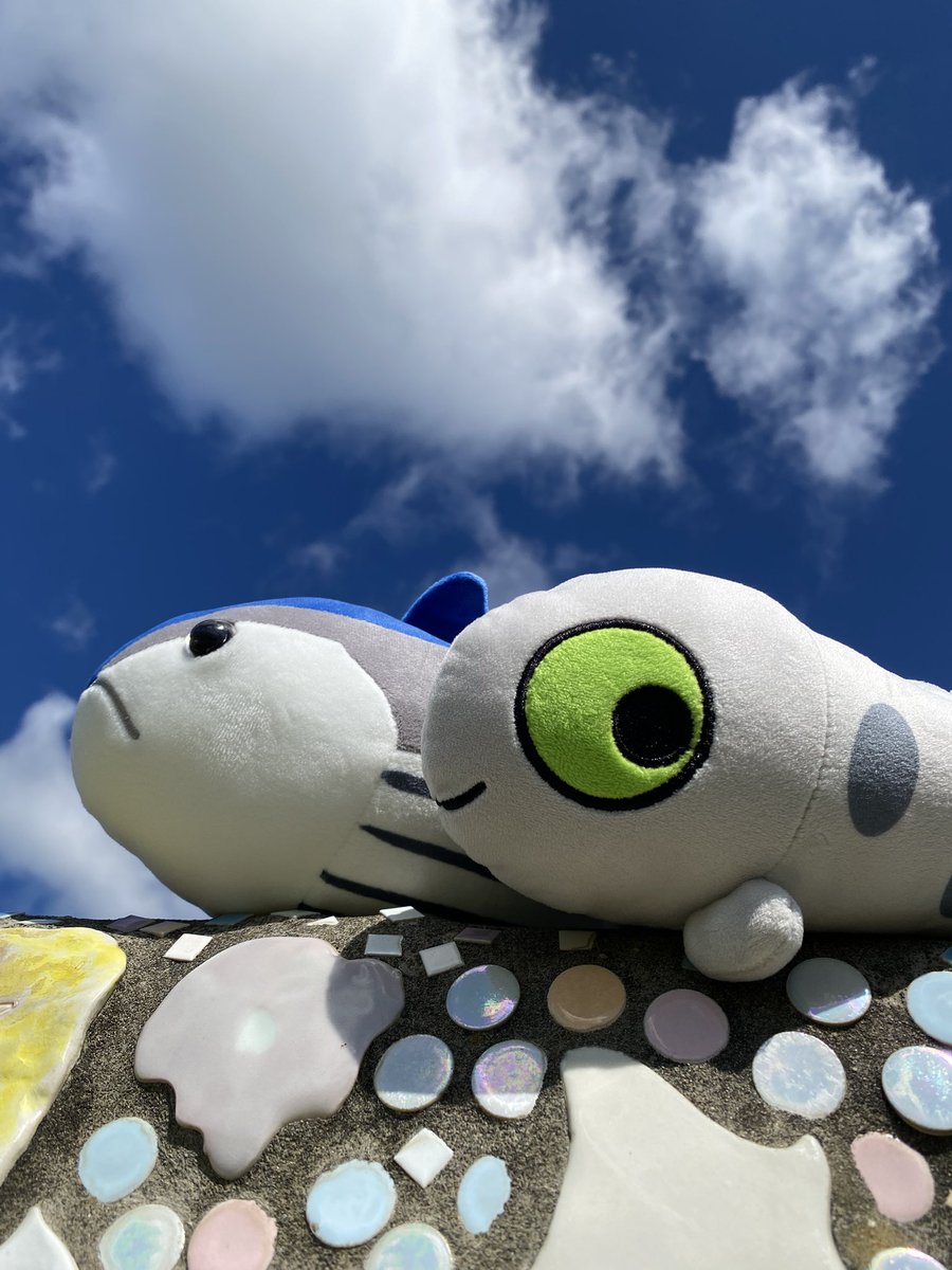 la_meRMeR's tweet photo. 水揚げ始まりました〜💨漁場も安定🌊戻りカツオちゃん🐟一本釣り🎣で釣り上げて下さ〜い🐟めひかりちゃんも待ってます🙌
#道の駅よつくら港 #めひかりくじ #めひかり #メヒカリ #催事 #深海魚 #ぬいぐるみくじ #ぬい活 #ぬい撮り #カツオくじ #カツオ https://t.co/KoNxPeWJWK