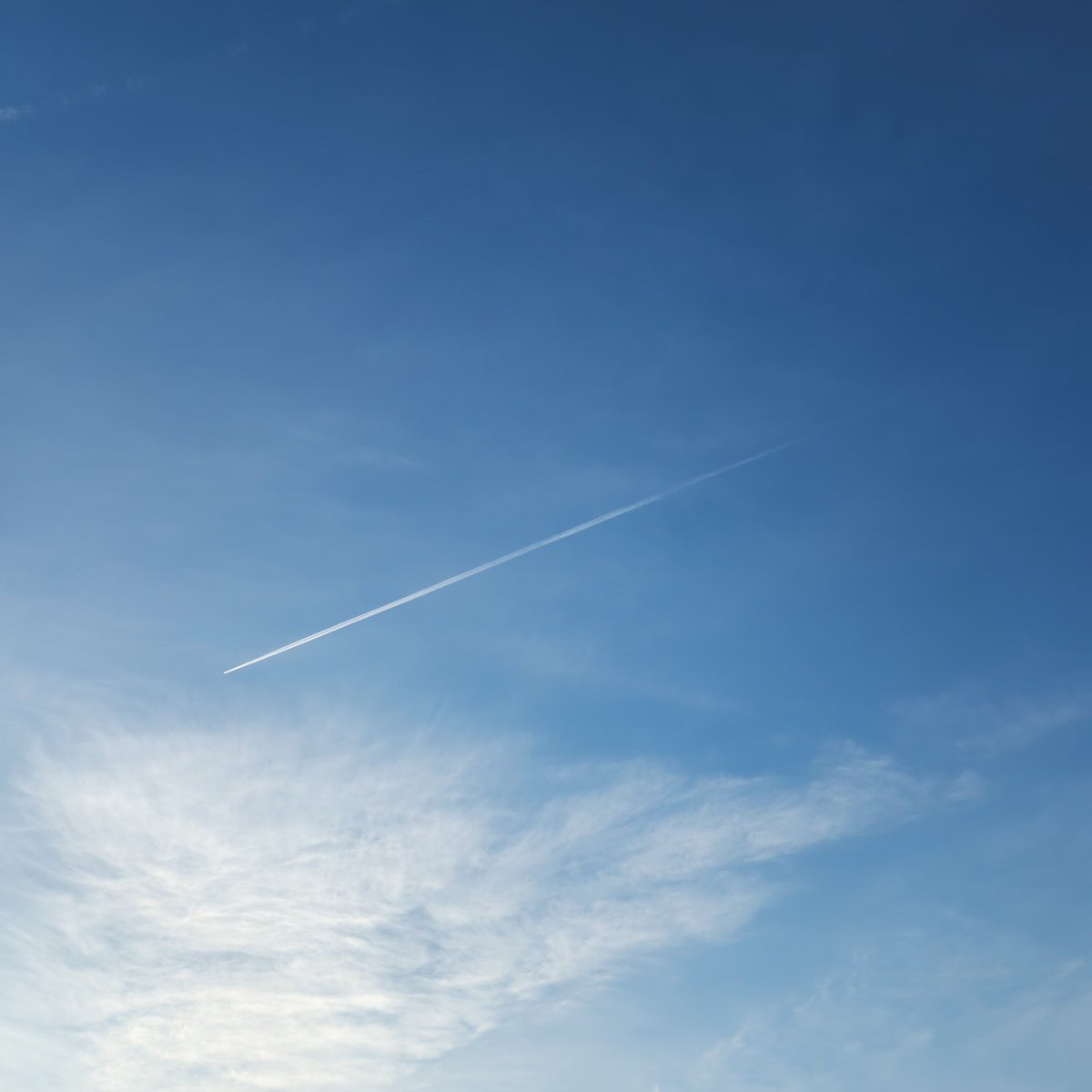 mrmerkin3579's tweet photo. Stop the poisoning of our skies ! I thought this administration would end this, but it's still happening. We the people expect better! https://t.co/X9BKOsUGBA