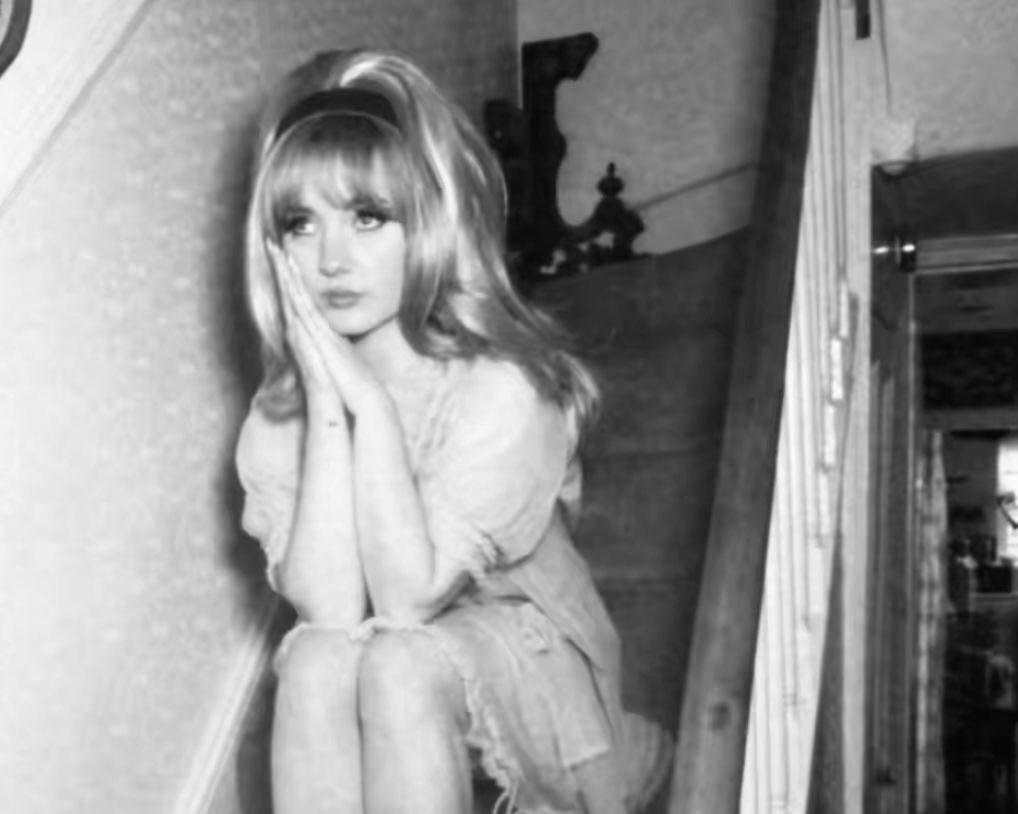 popiitart's tweet photo. αlwαys   obsᧉssᧉd   wⲓth   60’s   hαⲓrstylᧉs https://t.co/fNH7xSbx9j