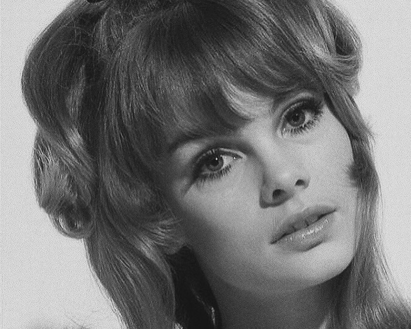 popiitart's tweet photo. αlwαys   obsᧉssᧉd   wⲓth   60’s   hαⲓrstylᧉs https://t.co/fNH7xSbx9j