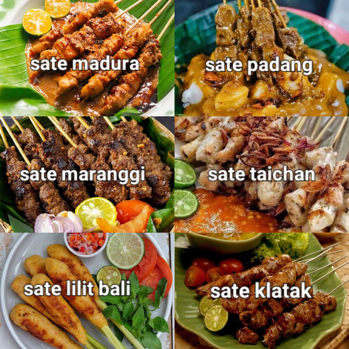 piscesgirle's tweet photo. dari 6 jenis sate ini, mana sate terenak versi kamu? https://t.co/qKwOhHtIVT