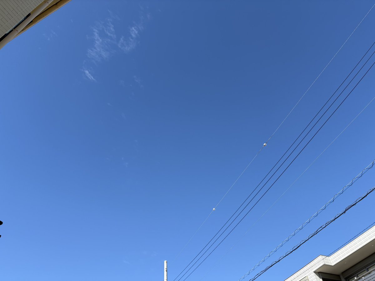 HSIFEOJ's tweet photo. 台風一過☀️
昨日までのアレはなんだったんだよぉ〜😓 https://t.co/L7z1Xib09K