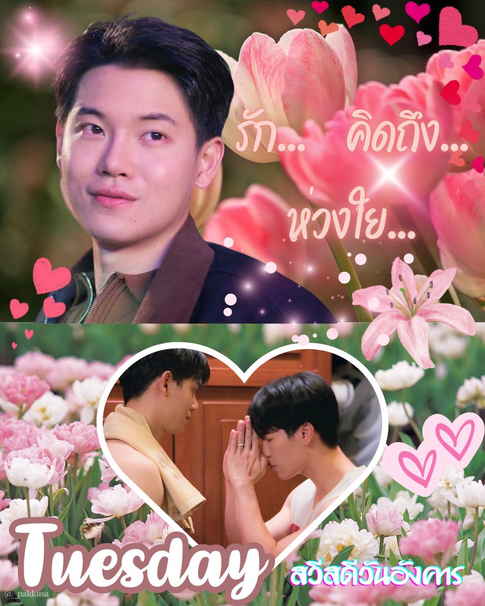 _pakkusa's tweet photo. สวัสดีครับคุณแม่ ความรักเป็นสิ่งสวยงามอย่างนี้นี่เอง https://t.co/pS47CGIawf