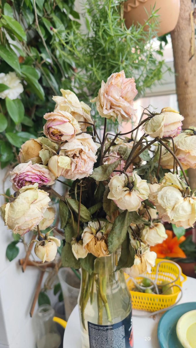 Katiix33's tweet photo. Growth isn’t about erasing the old you—it’s about letting the parts that no longer fit gently fall away, making space for the version of you that’s ready to bloom. https://t.co/pUvis1POJK