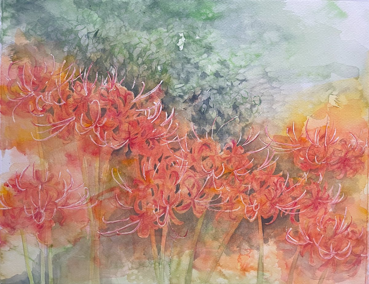 satomegu_art's tweet photo. 秋の訪れ。
彼岸花です。全体のイメージを作っていたつもりだったけど、完成はイメージの上を行った。制作途中は「私できるのか？」って半信半疑になりながらも、新たな自分の作品がこうして出来上がるので、絵ってやっぱり不思議。
大満足な仕上がりになりました。
＃水彩画 https://t.co/S75mCTNC8s