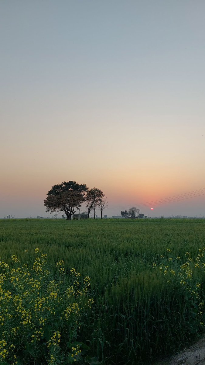 singhjatinder92's tweet photo. @earthcurated https://t.co/7Ud38WIjl5