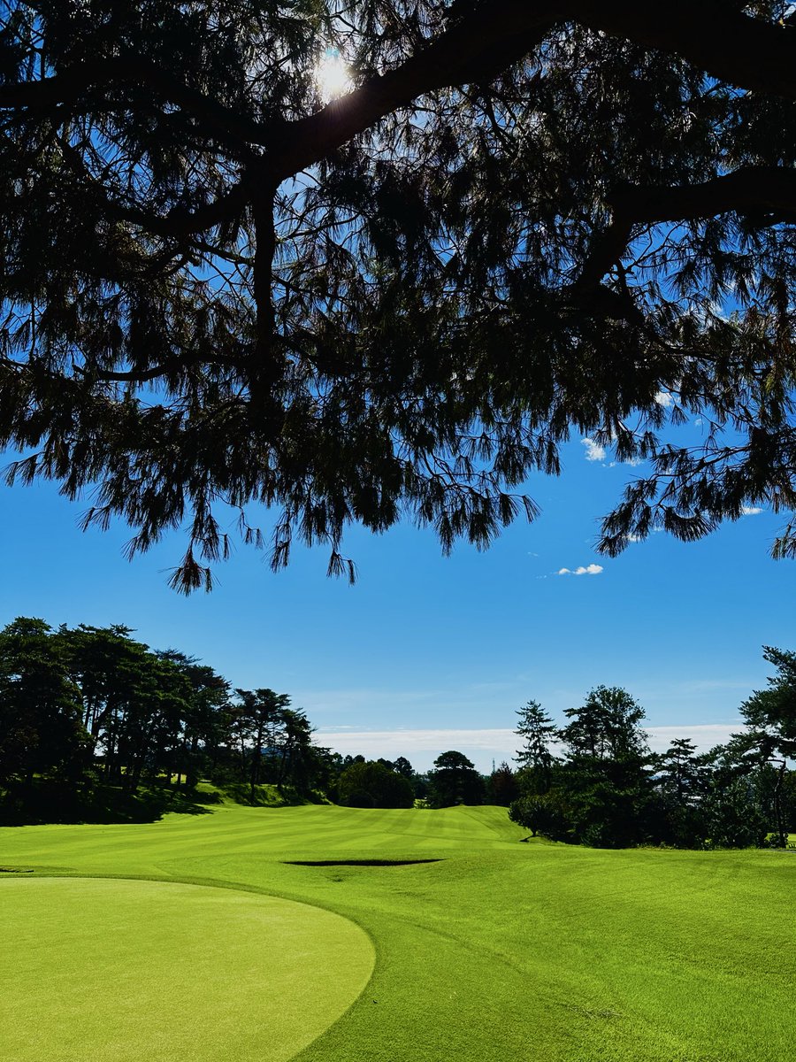 chill_836_'s tweet photo. めっちゃゴルフ日和⛳️🏌️☀️ https://t.co/Si2NsMZuzo