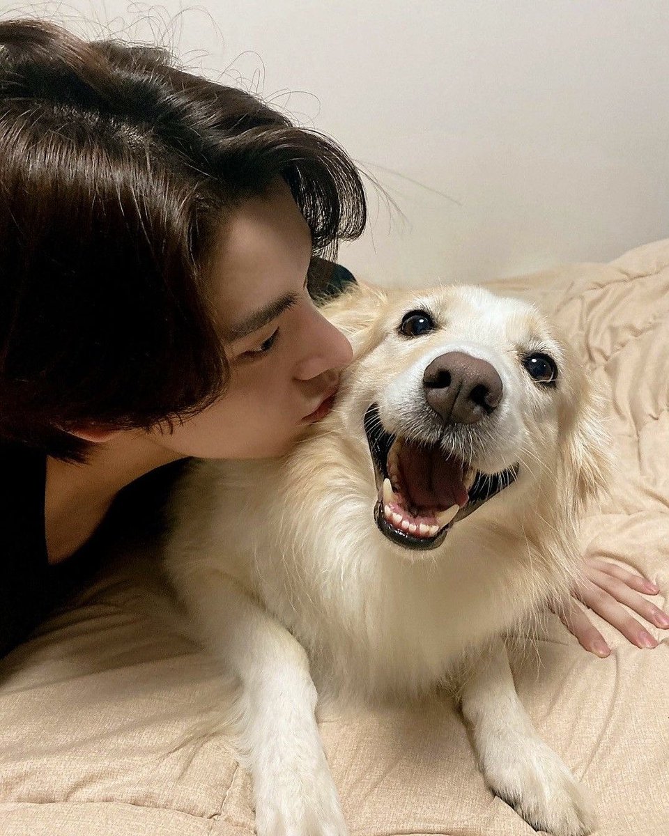 fixonikeu's tweet photo. my favourite duo 🦮♡ https://t.co/pTUBGDXWp0