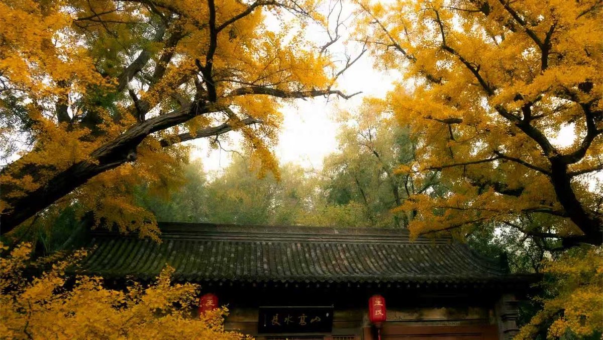 ShanxiTimes's tweet photo. 【 #OneShanxiADay 】Jinci Temple is about to enter its best viewing season in autumn.🍁 https://t.co/WNI6QmR2Jp