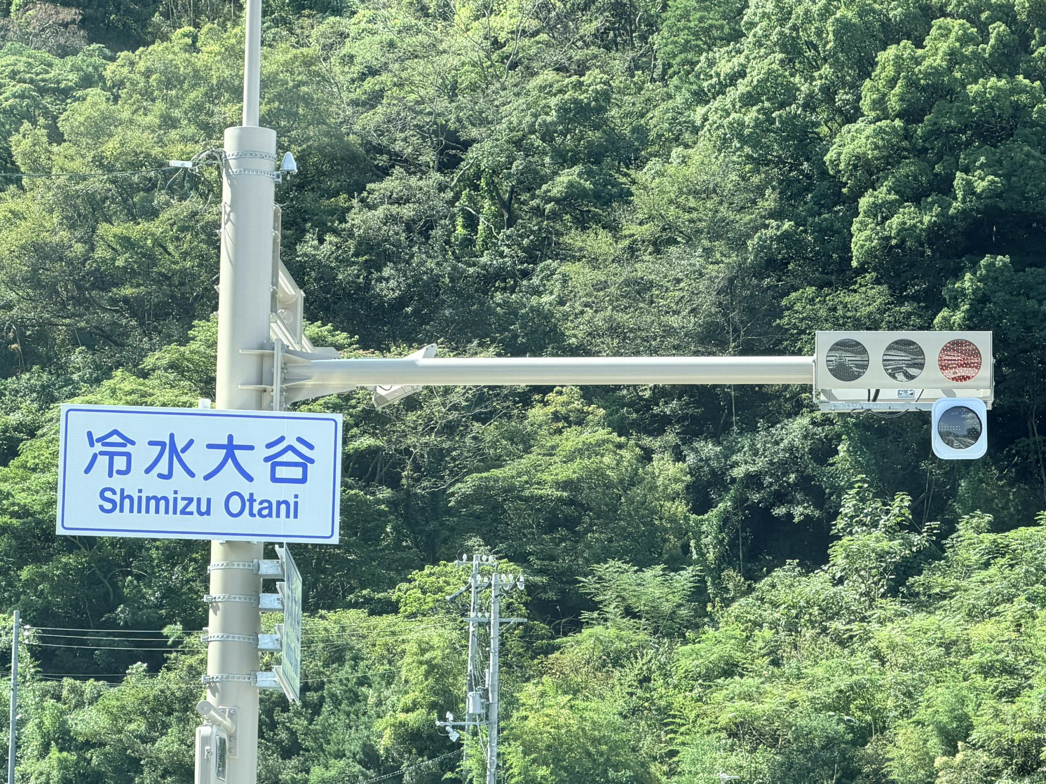 しんおた on X: 