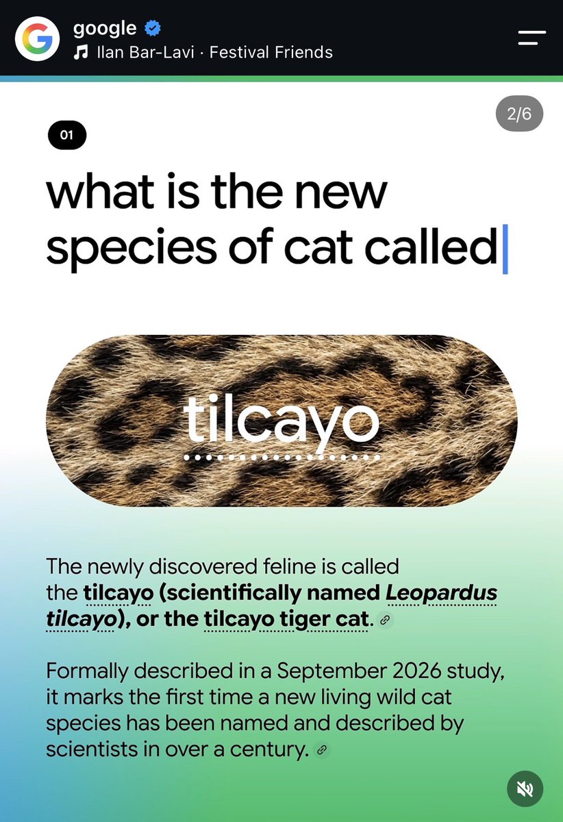 econoar's tweet photo. google is bull posting Tilcayo https://t.co/M6sUVDDhEI