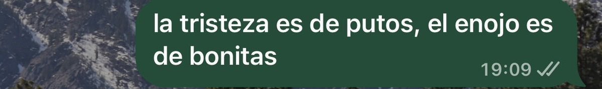 pao_brraz's tweet photo. la psicóloga dropped another banger https://t.co/ZCLX1fF6Pr