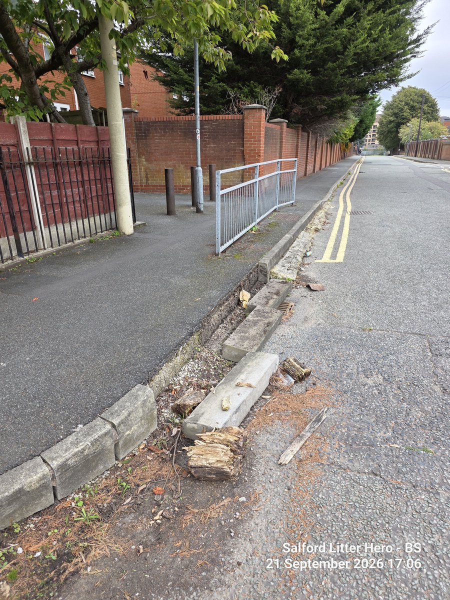 LitterGrockle's tweet photo. Hey @SalfordCCHelp can you get someone to look at this pavement/kerbstone issue on West Park Street - ///insert.tender.carbon

It also doesn't have a disability friendly end on the pavement where the gap is... Bit of a step! https://t.co/E9soiUS2CW