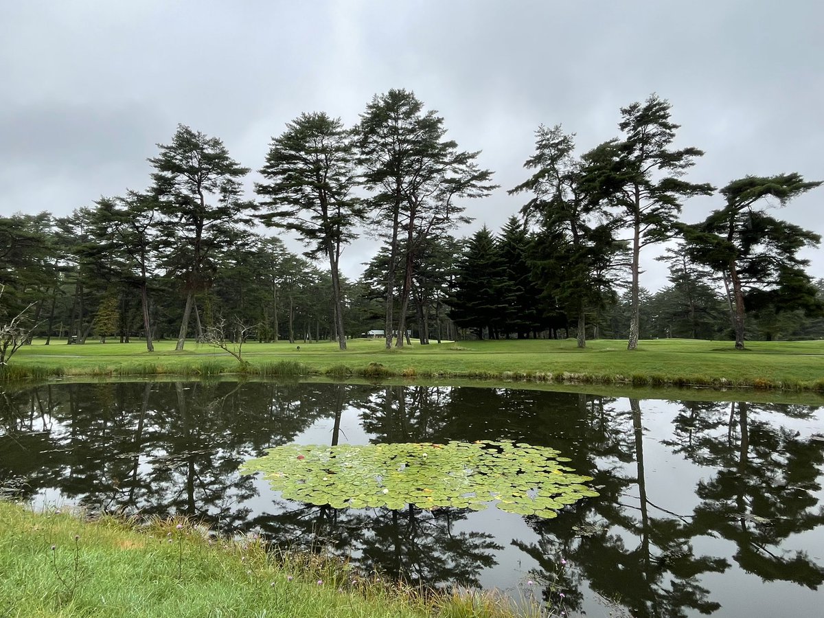 B_is_my_Sign's tweet photo. #台風一過🌀

#軽井沢 

朝靄(モヤ)に包まれている
ゴルフ場⛳️ https://t.co/MiN98HMAbM