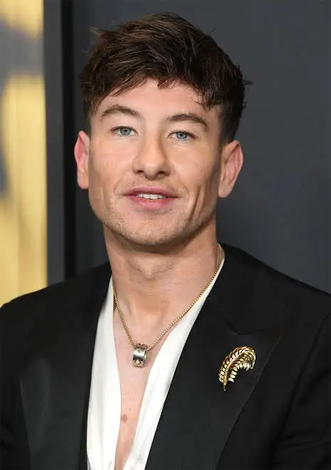 FrameCrave's tweet photo. Barry Keoghan has reportedly been cast as Lord Voldemort in HBO Max's ‘HARRY POTTER’ TV series.

(Source: @Variety) https://t.co/BEMw73b0Qt