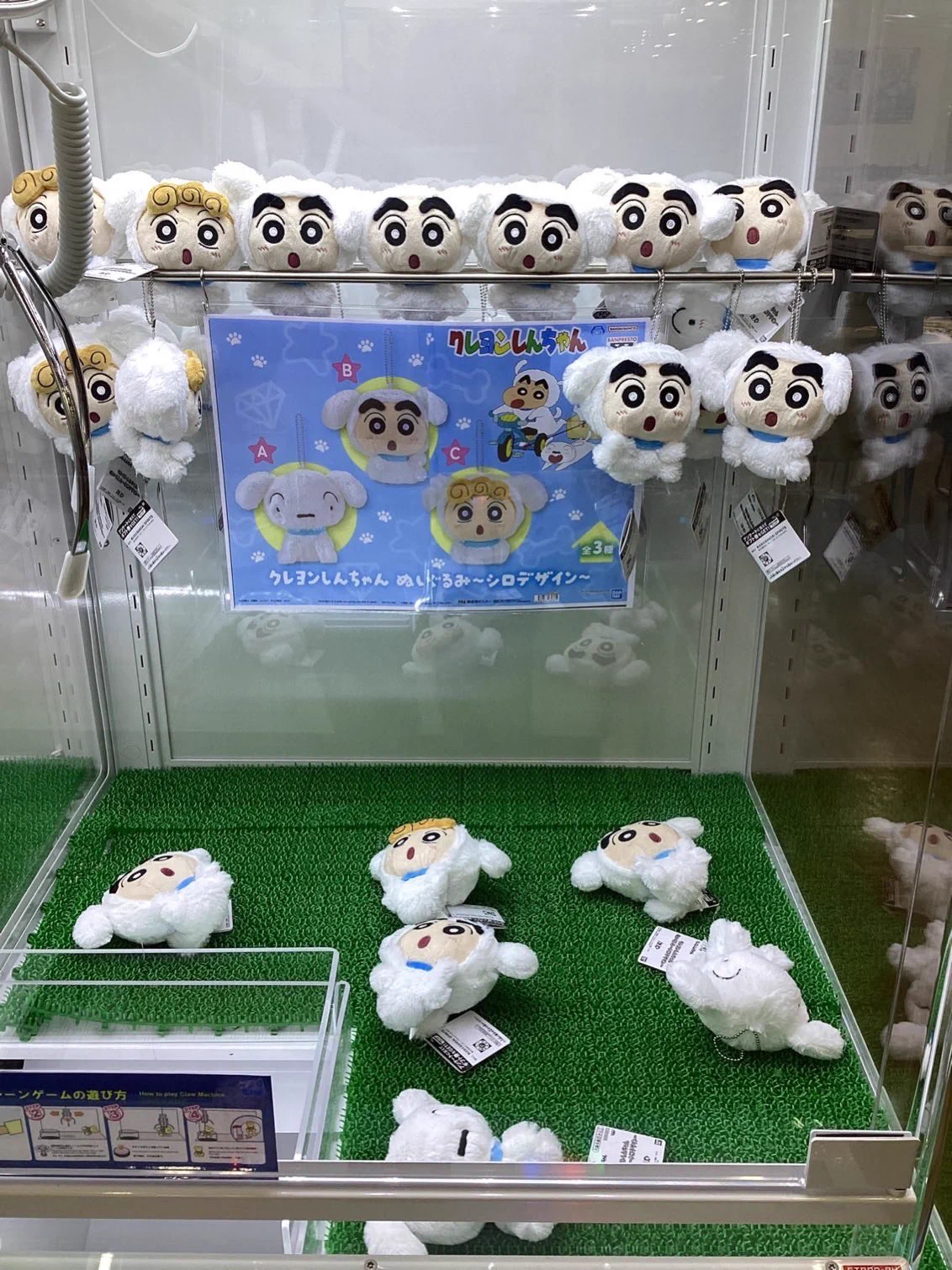 ワンダーグー瑞江店 on X: 