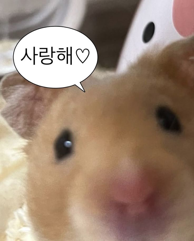 7uckyhamster's tweet photo. @puchobd https://t.co/P20MlpHtSi