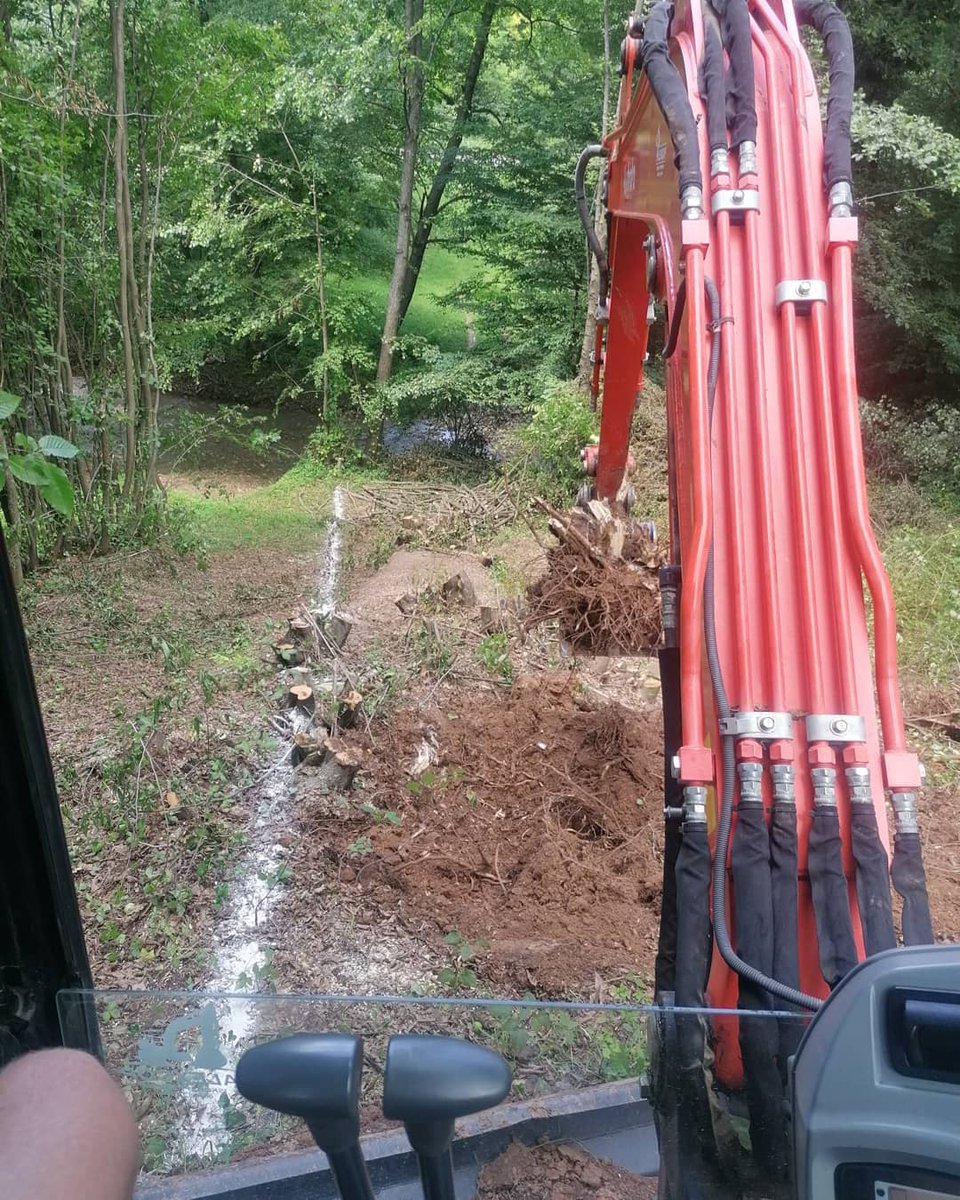 gracedavis752v0's tweet photo. Forest clearing, stump removal, and leveling https://t.co/Yg18kjkk3s