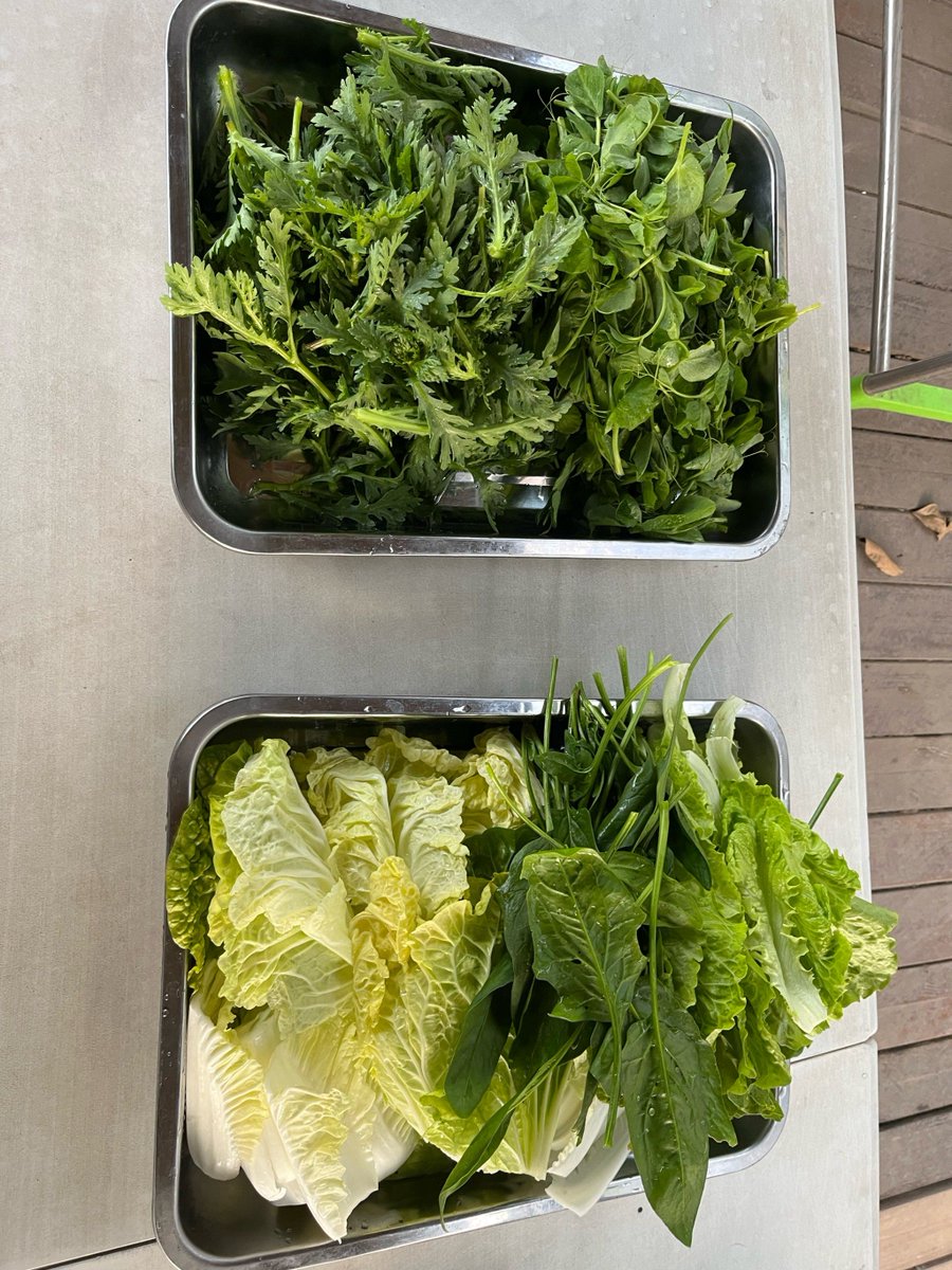lemchristina's tweet photo. Fresh seasonal veggies u0026 farm eggs now in stock! Perfect for your weekend meal prep  Stock up u0026 eat well. https://t.co/iRv7HWm3Fz