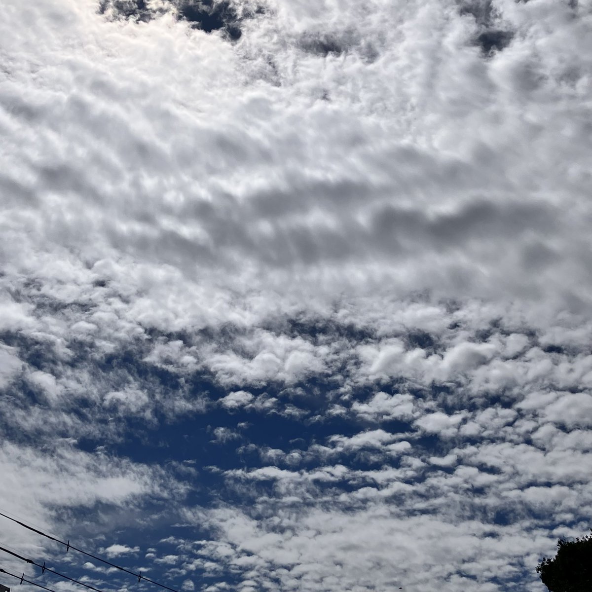 YumeNotexist's tweet photo. 2026年9月22日（火・㊗️）
国民の休日

武蔵野エリア⛅️☀️30度予報
暑くなるかな😅

調節しやすい服装で👍

ベランダの植木鉢🪴を元に
戻す作業します

#い���そら #空 #雲 https://t.co/5ydoaBqJYZ