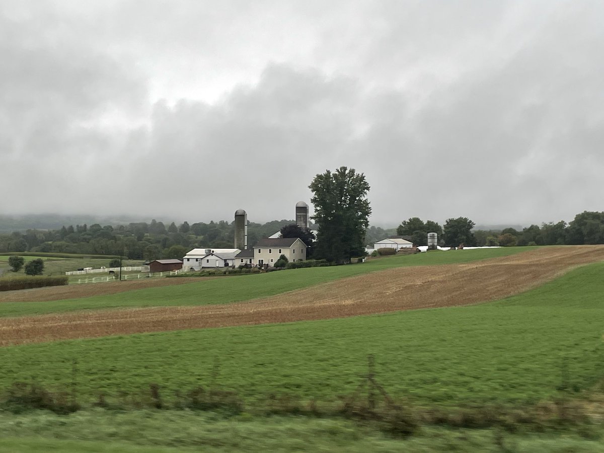 mntblubird's tweet photo. Farm, in the Rain #photography #penna https://t.co/BwQOlPASLU