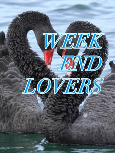 TatsuyaPlanetta's tweet photo. 9/24
恵比寿リキッドルーム
WeekEndLoversBegins
The Birthday
The LOSALIOS
@TBD_STAFF 
@LOSALIOS_band 
Start19:00
@land_fuk https://t.co/YFbnS63SKF