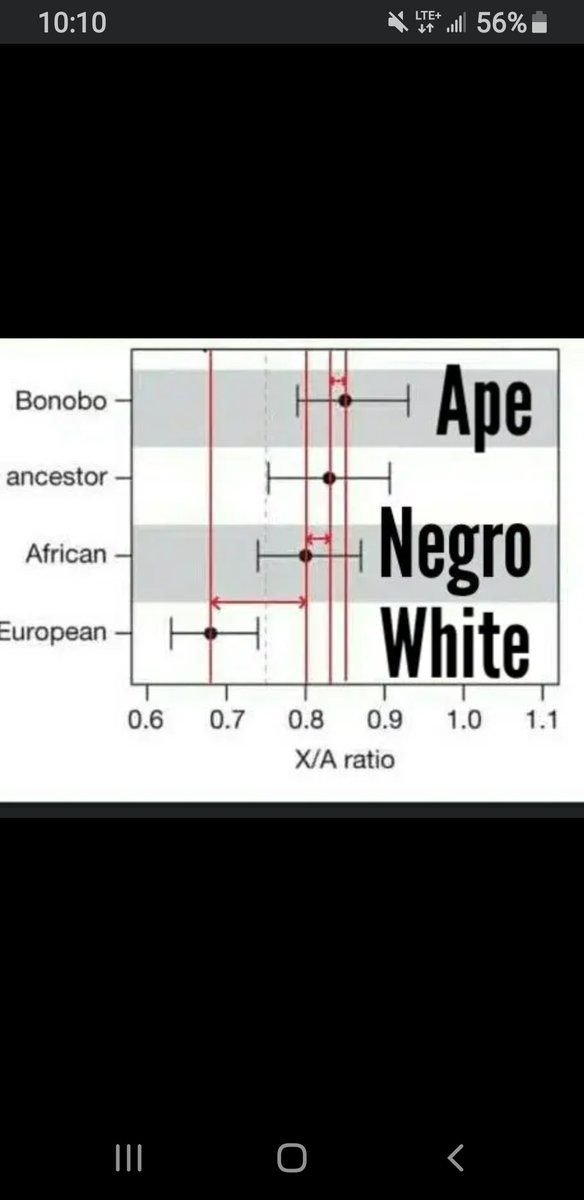 DenissioP's tweet photo. @postmanShmerg Blacks are not human origins https://t.co/k14A901Ai2