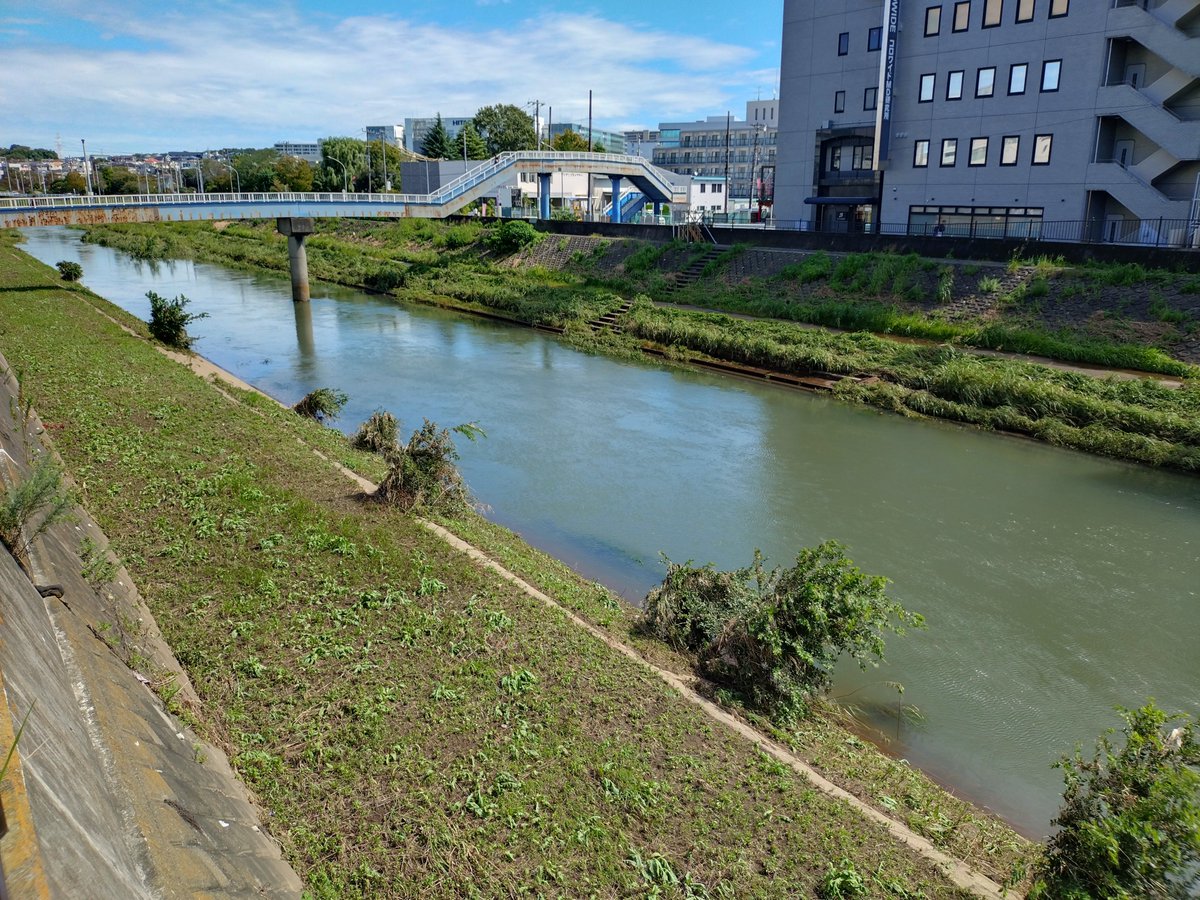 zero_e353's tweet photo. 本日の柏尾川です。
まだ普段よりは水位が少しばかり高いですが、昨日の今日でこれはスゴイ水の引きが早いです✨️
2枚目の上縁がわずかに色が違うのはここまで水が来ていたからでしょう💦
治水工事して下さった方々、ありがとうございました😊 https://t.co/2QtyF17MGy