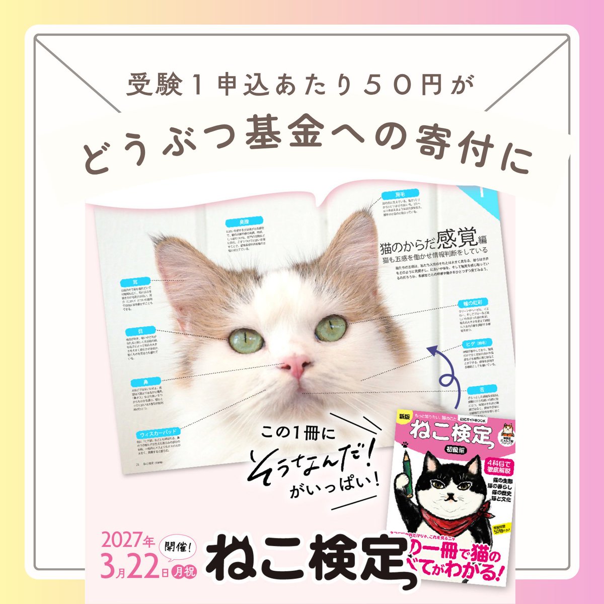 nekokentei's tweet photo. ／   
好きだからもっと知りたい、ねこの気持ち
＼
2025年度は皆様に代わり、650,270円を寄付することができました。
今年も１申込あたり５０円が「どうぶつ基金」への寄付金となります。

猫を想う気持ちが猫と人の社会全体に広く届きますように。

第10回記念開催は2027年3月22日（月・休）

↓早期申込特典期間は9/29（火）まで↓
受験料割引＋クリアファイル２枚セット＋
複数階級受験で限定ツバメノート１冊プレゼント