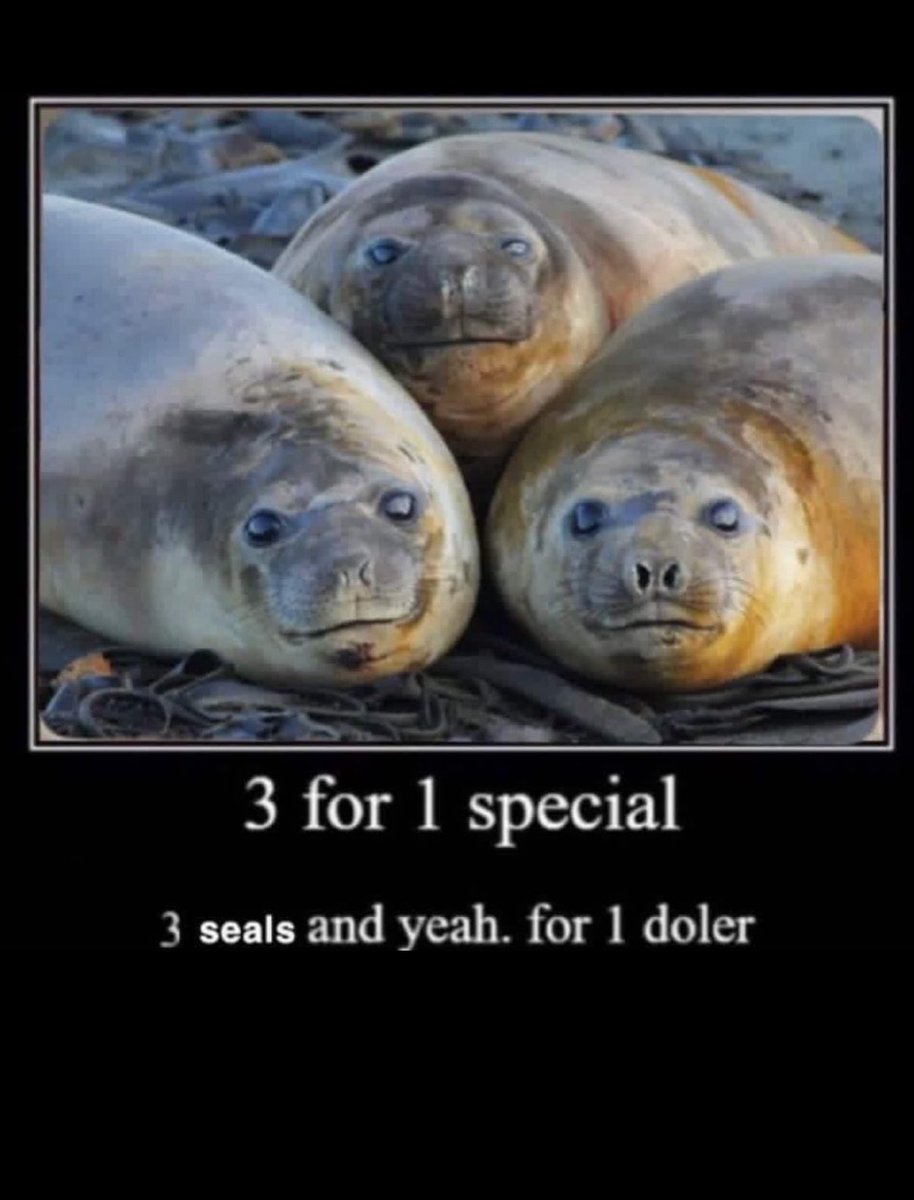 Seals_R_Cute's tweet photo. It’s a good sale ok. https://t.co/Pt7P1M81DN