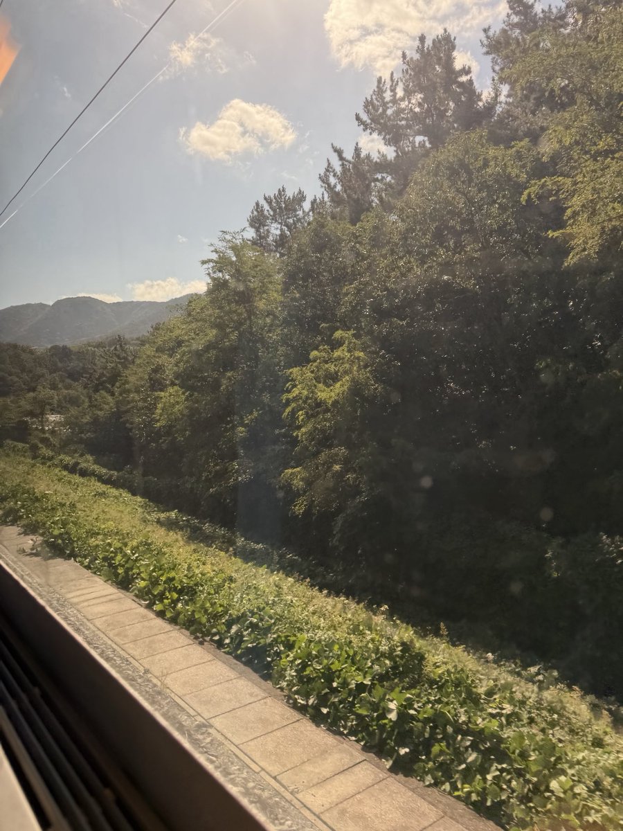 ppMisoKome's tweet photo. KTX車窓の風景が東海道新幹線というより、近接して住戸があるのと山間部が多いので西武のラビューっぽい https://t.co/8kSNGXgaGb