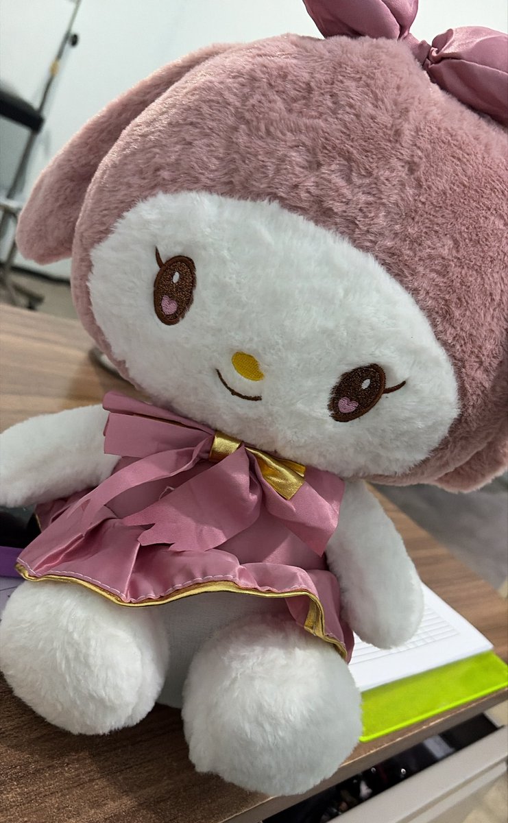 lilyyflrs's tweet photo. Deja tu las flores amarillas mi viejo vino hasta Juárez a traerme una my melody preciosa a mi trabajo 🥹🥹🥹🥹 https://t.co/QsfrGnFeYk