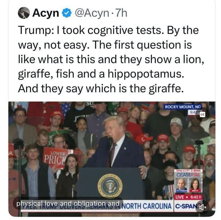 SundaeDivine's tweet photo. America’s commander in chief has passed the giraffe test. NATO can exhale. https://t.co/NLqiSWxza2