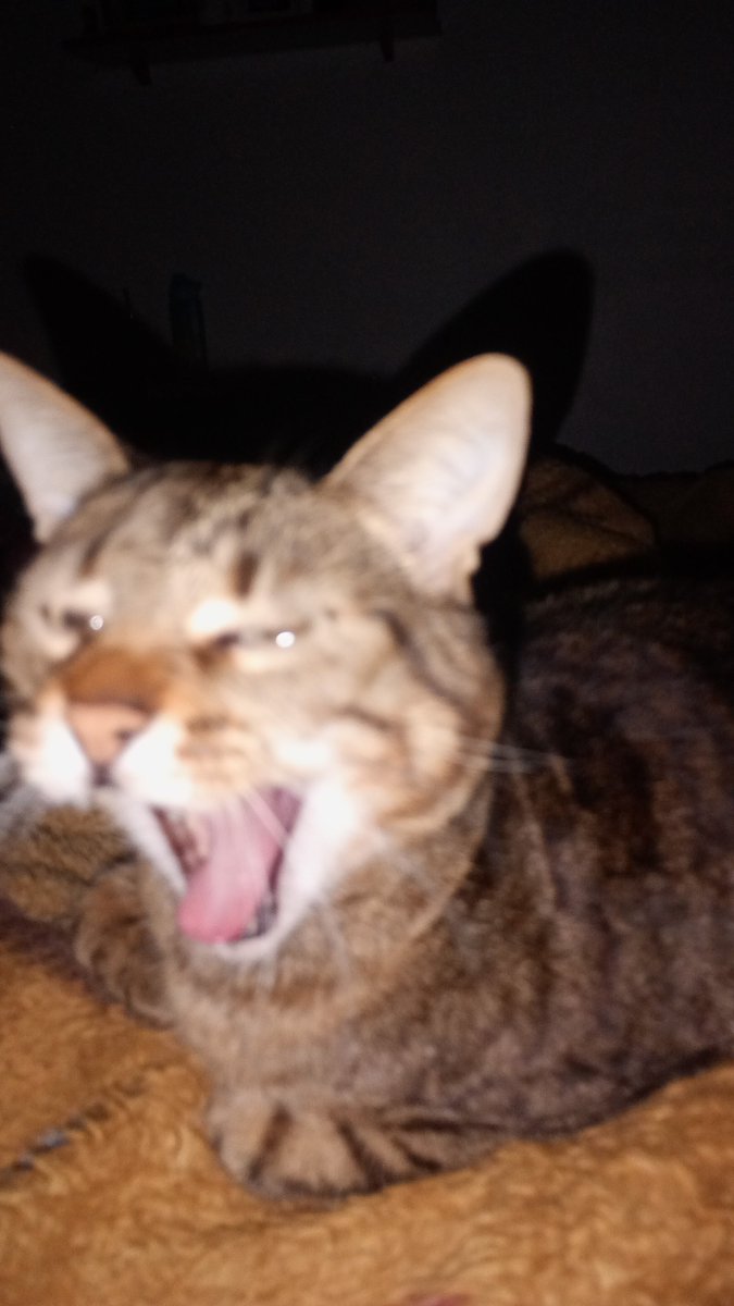 MarAralc's tweet photo. @dwxon Por aqui também KAJSJSKSKSKSKSK https://t.co/Yiw7RYW7j0