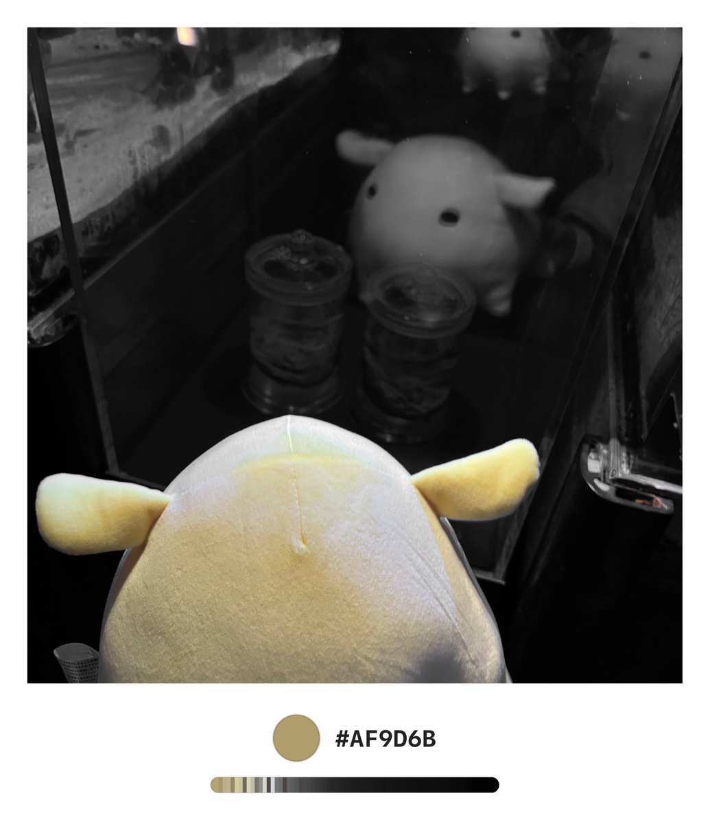 kkk06v's tweet photo. https://t.co/rqlTbufx9t