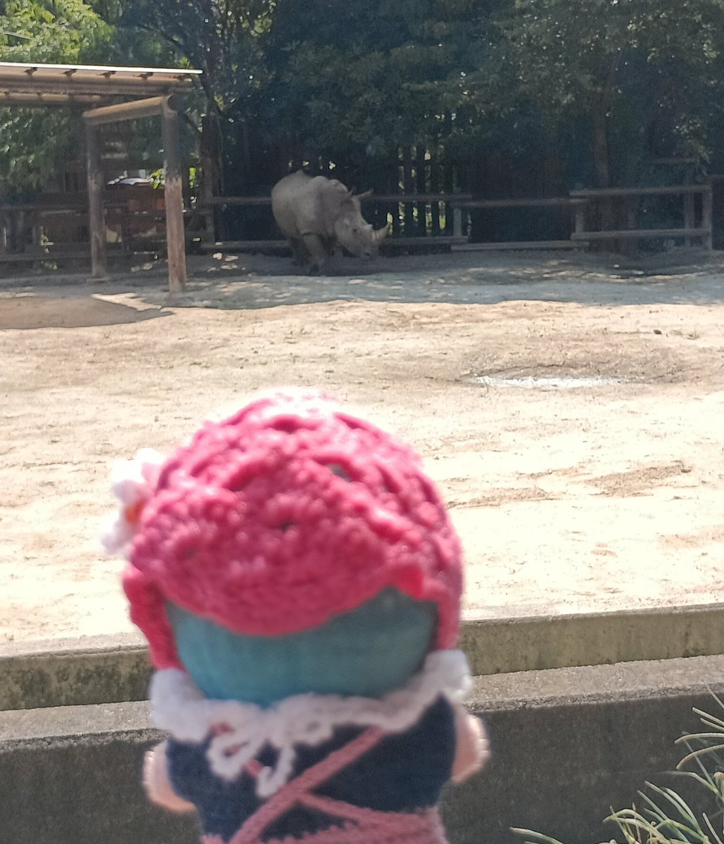 kyame_84xx's tweet photo. 今日は世界サイの日🦏だよ https://t.co/q9GLaGmBvt