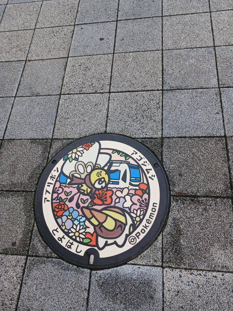 rakuenspring's tweet photo. 豊橋のポケふたコンプ🙌 https://t.co/lk3w8U9DOA