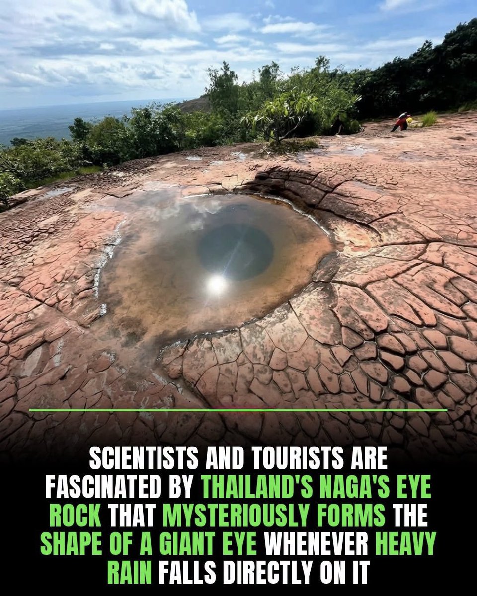 NextScience tweet picture