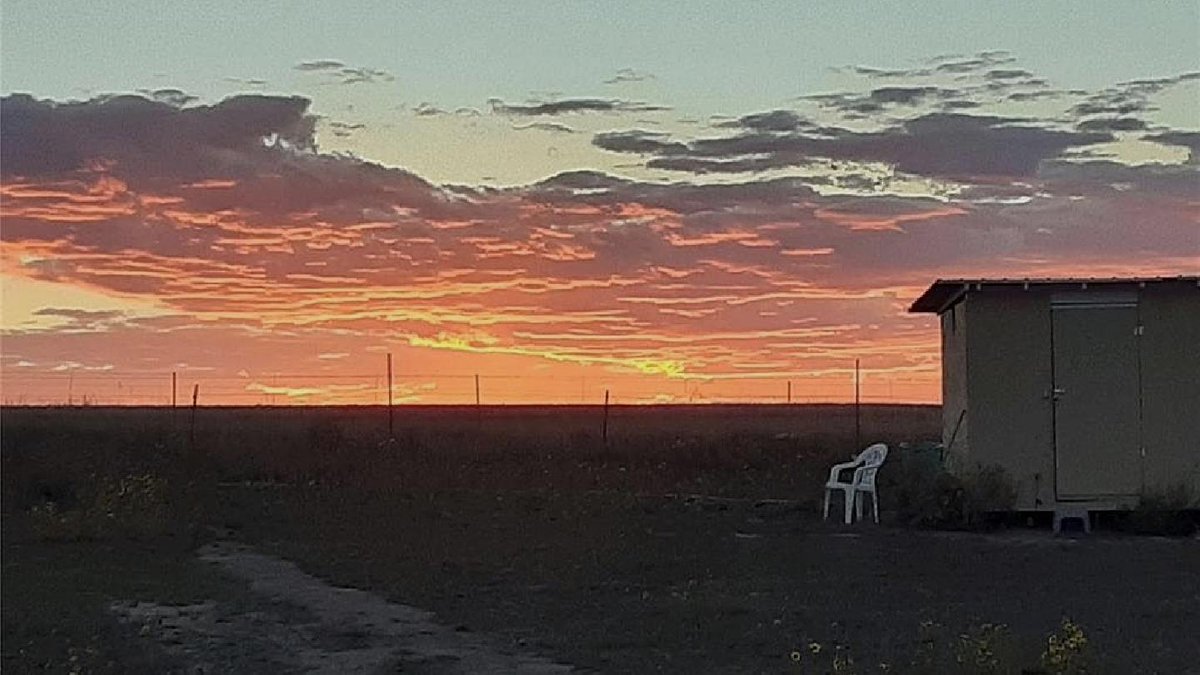 UliPryse's tweet photo. Wide-open skies and peace await at 12155 Oil Well Rd, Calhan, CO, a private sanctuary with stunning views. 🌅🌾 https://t.co/e9MeKZ9tbm