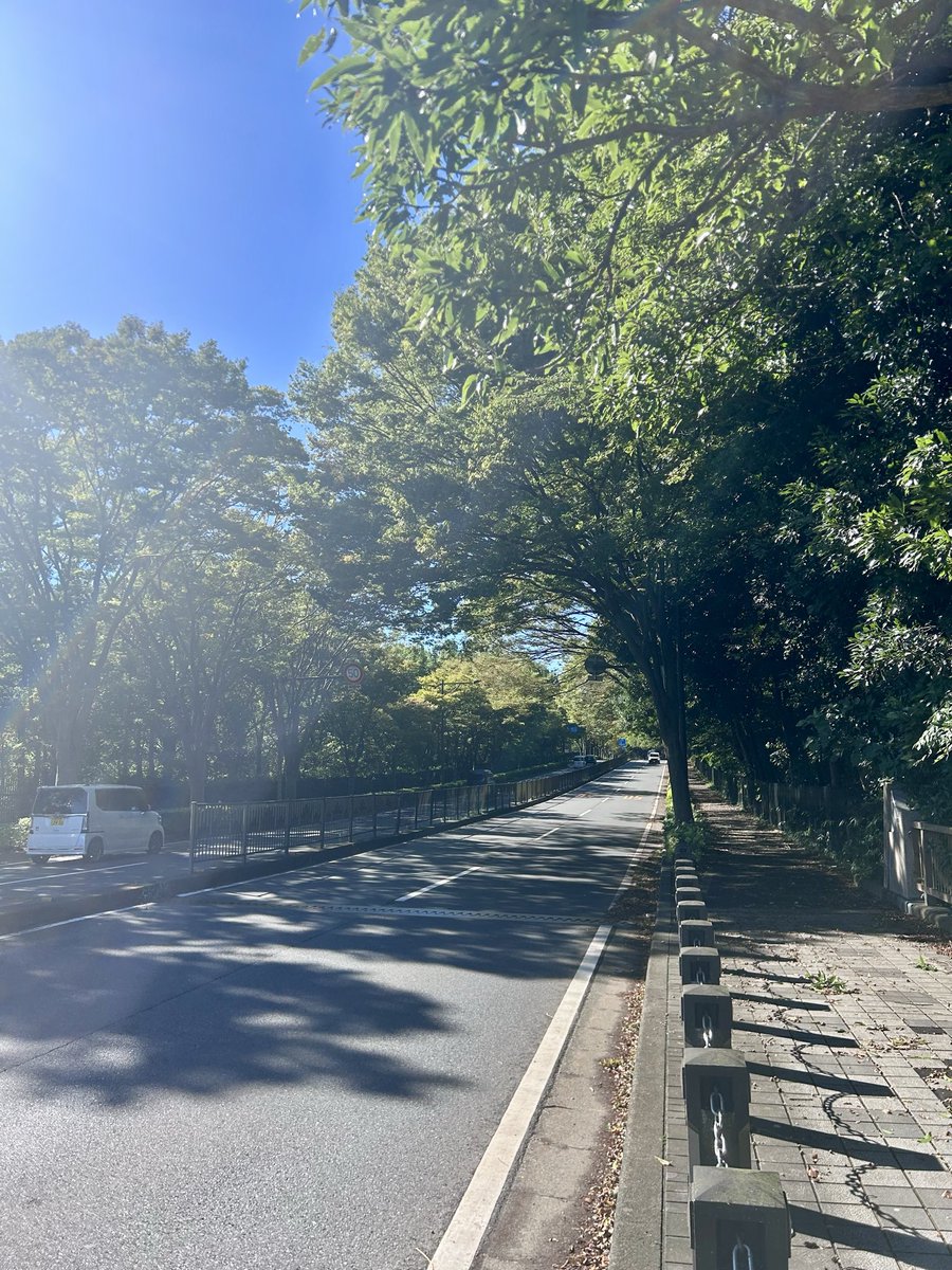 Himakoto2's tweet photo. 台風一過の朝は青空ラン活🏃‍➡️
最高に清々しい朝です
#21世紀の森と広場 https://t.co/O19YArudBe