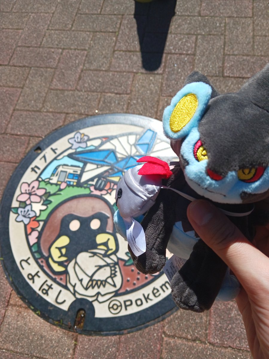 rakuenspring's tweet photo. 豊橋のポケふたコンプ🙌 https://t.co/lk3w8U9DOA