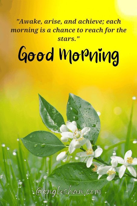 IndianTechTrend's tweet photo. Good Morning ❤️🌹🪴 https://t.co/S1T0d9QHeS