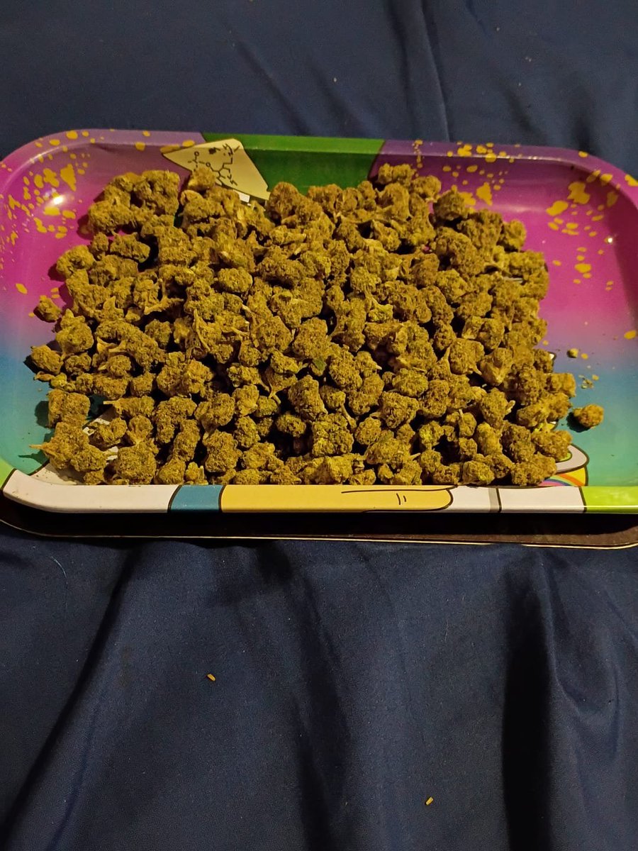 Hellaslump3187's tweet photo. It was very 😊👍
Item type:
Quarter Pound / Vorpal Cherry Aurora

#cannabis #marijuana #indoorplants #homegrown #seeds #pollination #results #trimjail https://t.co/coEDqIgRTz