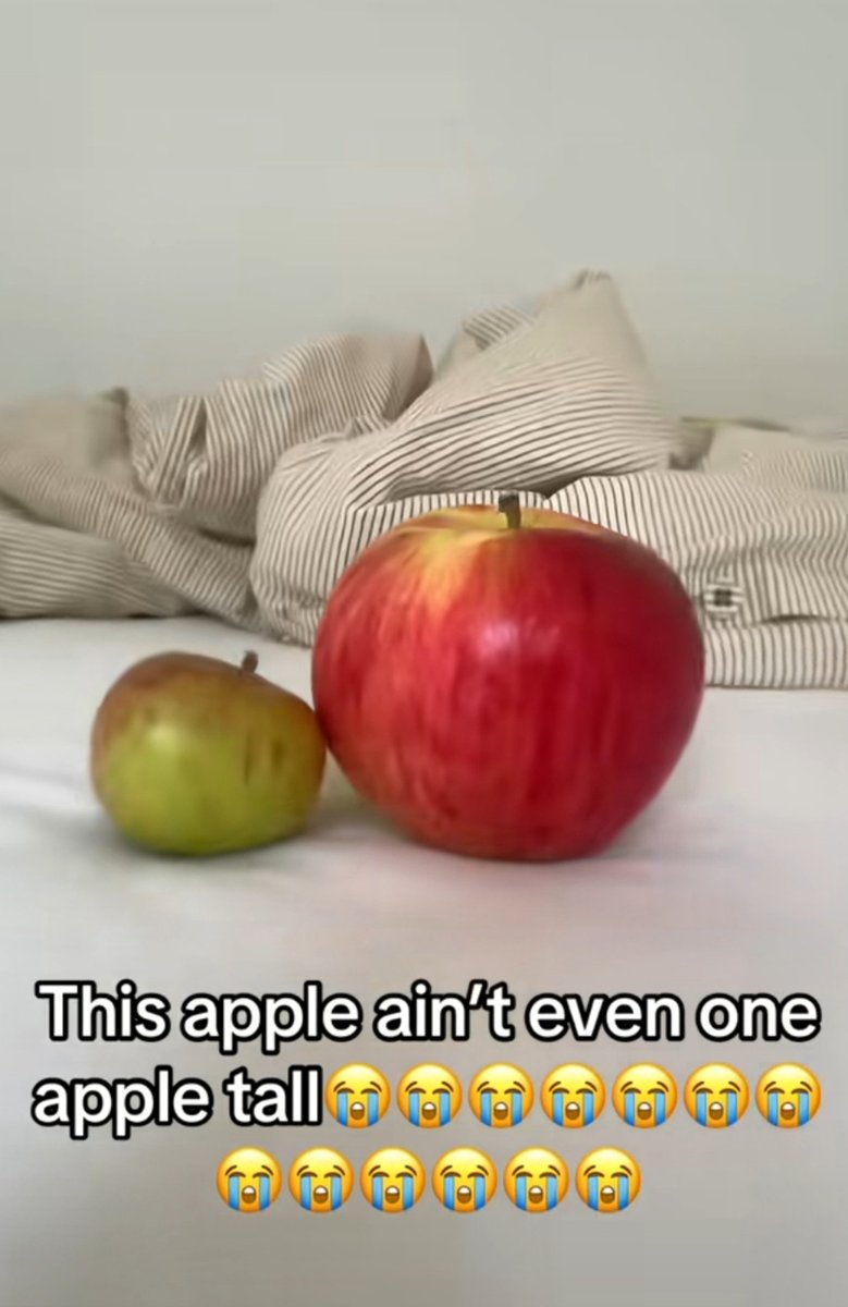 Bread_pudding_'s tweet photo. This Touya ain't even one apple tall 😭😭😭😭😭 https://t.co/HYPTfu1RBB