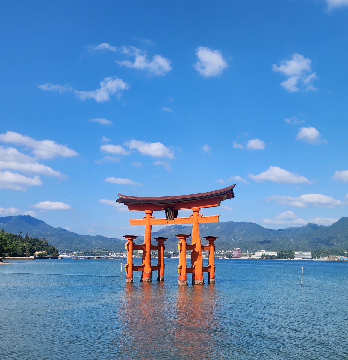 waitow_13's tweet photo. ｱｰﾊｶﾅｸﾃｳﾂｸｼ https://t.co/ougzxss23X