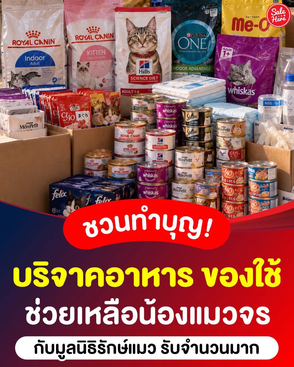 salehere1's tweet photo. 📣 ของเล็กๆ จากเรา อาจช่วยต่อชีวิตแมวจรได้อีกหลายตัว! 🐱❤️ มูลนิธิรักษ์แมวเปิดรับบริจาคอาหารเม็ด-เปียกสำหรับแมวทุกวัย รวมถึงของจำเป็นสำหรับดูแลและทำหมันแมวจร เช่น ถุงมือ แผ่นรองซับ น้ำเกลือ และเวชภัณฑ์ต่างๆ 🐾 ใครอยากช่วยน้องแต่รับมาเลี้ยงไม่ได้ ส่งของไปช่วยกันได้นะ 📦💗

ส่งไปบริจาคได้ที่
📍 มูลนิธิรักษ์แมว (ของบริจาค) 130 ซอยประชานุกูล 3 ซอย 1
รัชดาภิเษก 66 แขวงวงศ์สว่าง เขตบางซื่อ กทม. 10800
โทร. 099-045-2214

#SaleHere #เซลเฮียร์